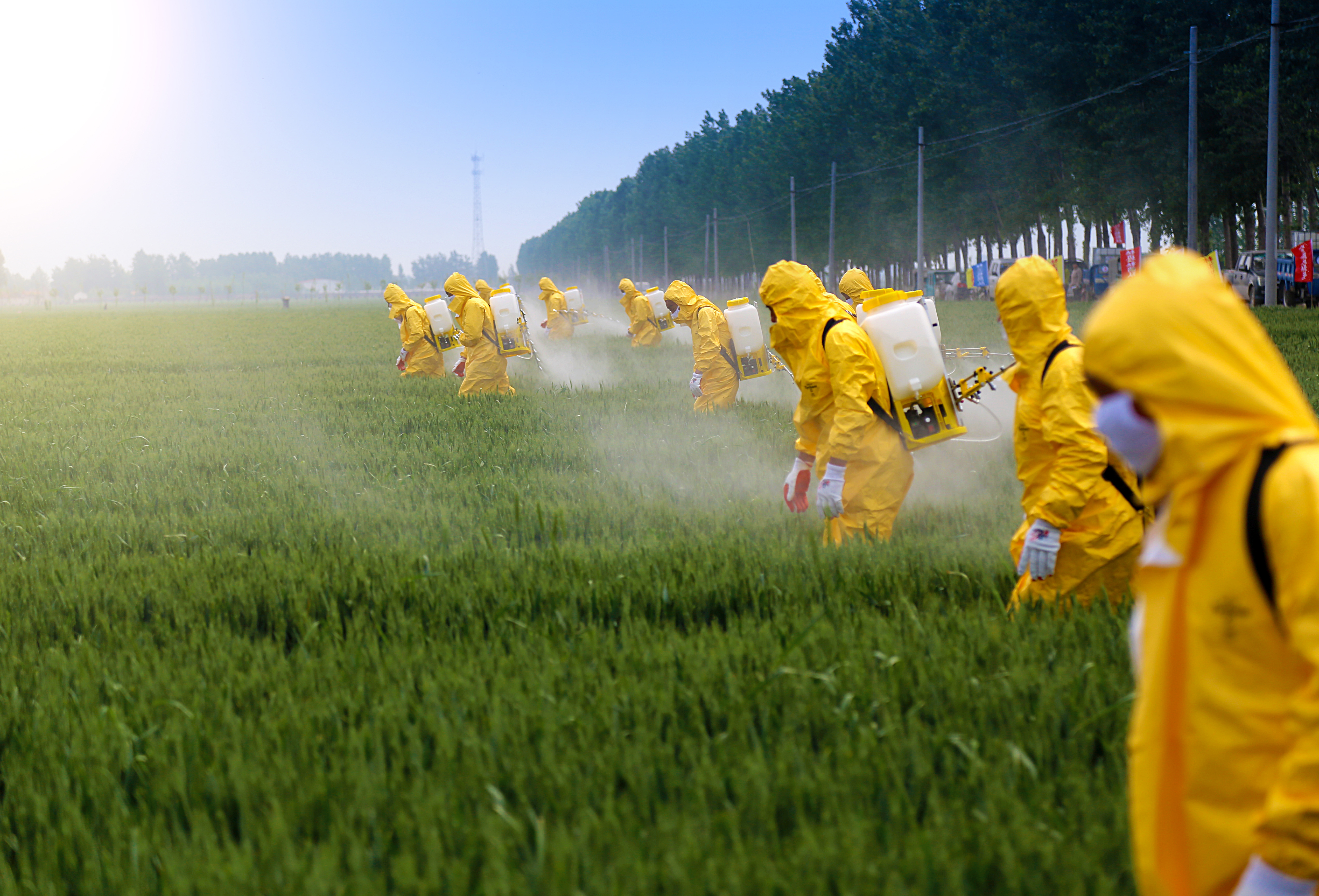Pesticide application